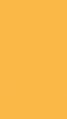 แสตนด์สีเหลือง2567