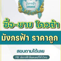 มังกรฟ้าอัพเดทราคาโควต้า รายวัน