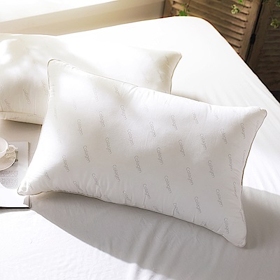 IN HOUSE-膠原蛋白親膚枕(白色)/2入