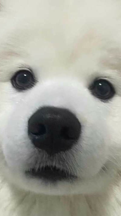 𐄙 🐰 ༷ཾ𓂂ּ⃘⠀  dunacc bby ཾrunjem݁