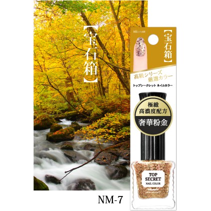 【Top Secret Nail Color 寶石箱-高密度精品級金粉亮片】 品藏著美麗的秘密，揭開夢幻絢麗新風貌 - 親愛的！我把寶石變指甲油了 除了這句話，沒有更好的形容詞形容這支夢幻的指甲油了！