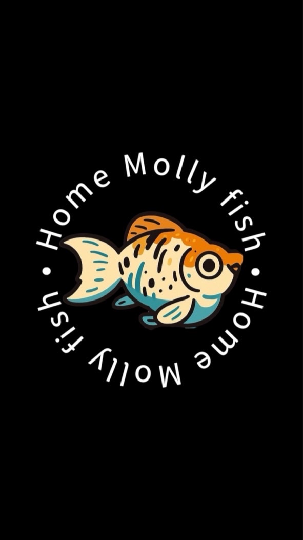 Home Molly Fish