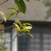東海大學環境科學與工程學系系友社群
