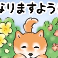 ドリンク専門ニャンとワンだふる