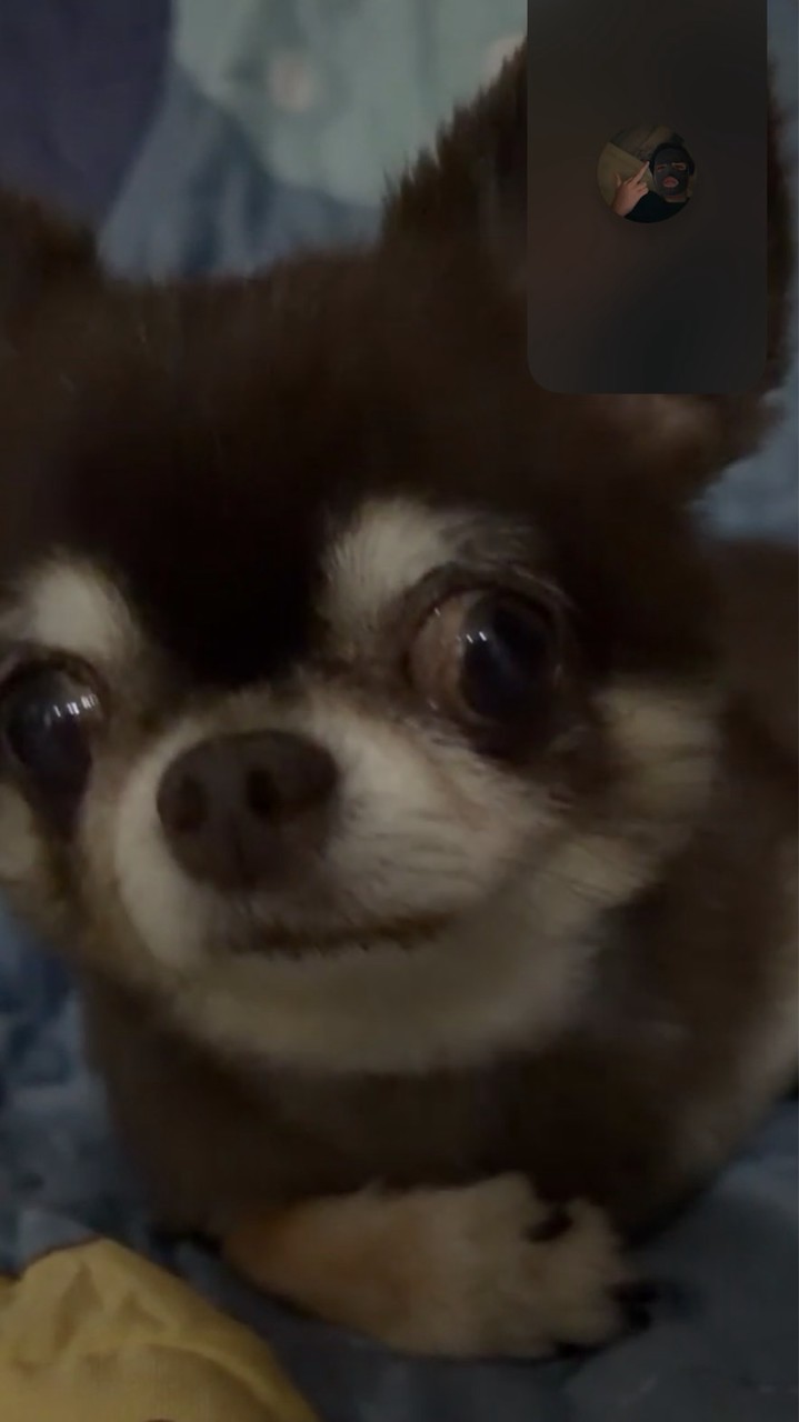 ด้อมน้ำตาลมาแล้วว😁🐶(love namtan)