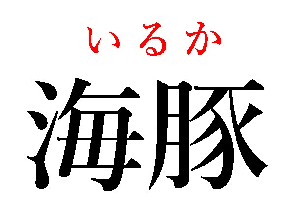 難読漢字 海豚 海星 海の生き物 読める