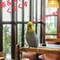 スナック🥃＆喫茶☕️くすくす