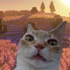 マイクラやらないの⁉️