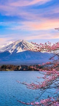เที่ยวญี่ปุ่นเดือนเมษา🌸
