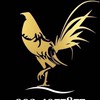 9ข่าวสารและคริปไก่