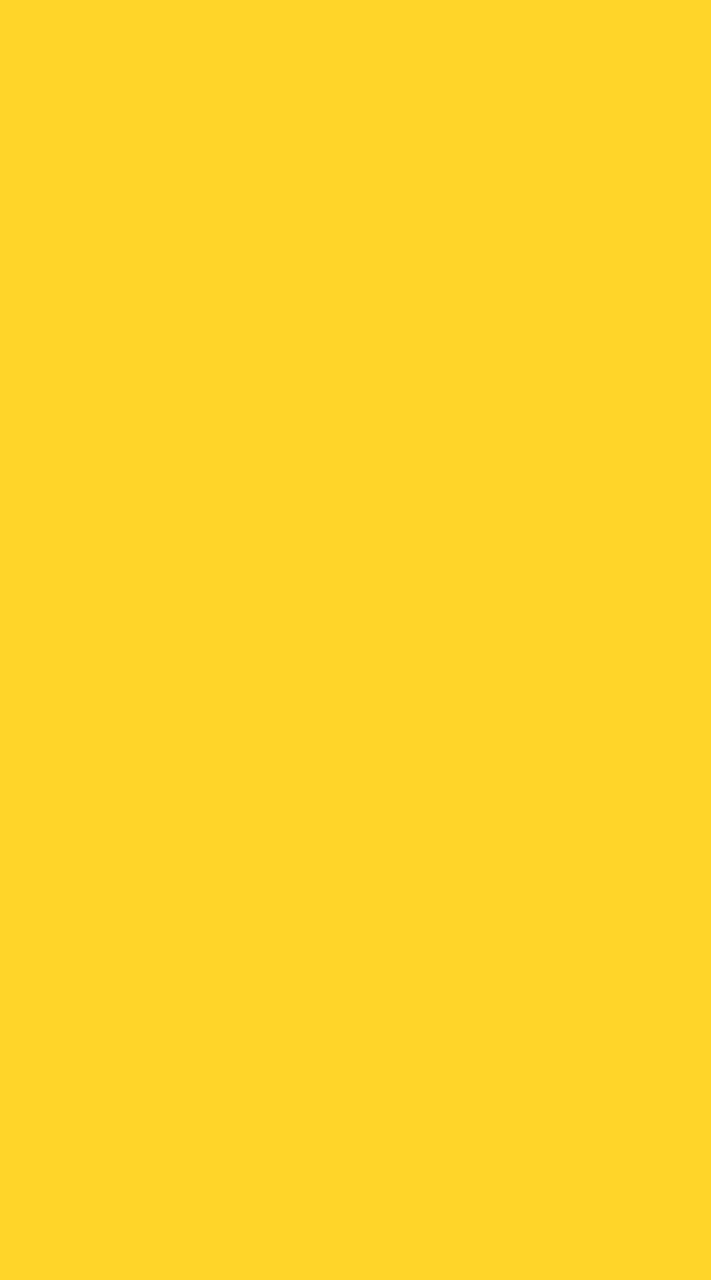 Yellow 2024