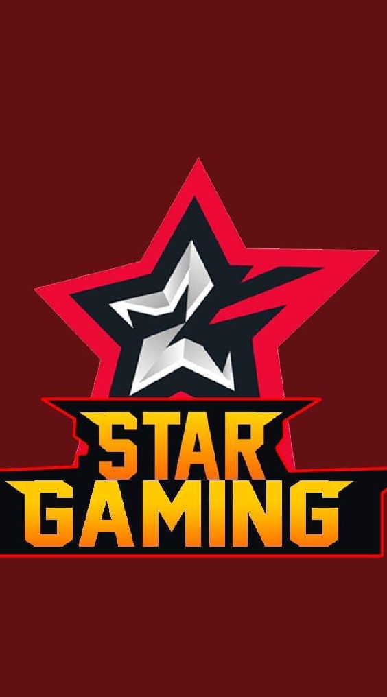 🌟 STAR​ GAMING 🌟