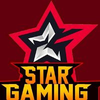 🌟 STAR​ GAMING 🌟