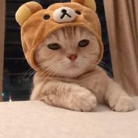 梗圖迷因/早安圖長輩圖/歡樂交流區