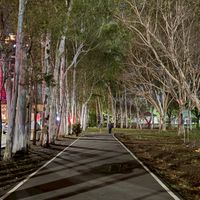 頭份竹南爆料群