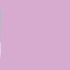 ⋆. 𐙚 ˚ ดันแอค-ดันเมล ⋆౨ৎ˚⟡˖ ࣪🐹ྀི