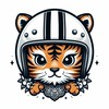 台客（tiger🐯）日本🇯🇵 進口安全帽/人身部品/各式潮貨 線上商店