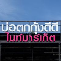 บ่อตกกุ้งดีดีไนท์มาร์เก็ต