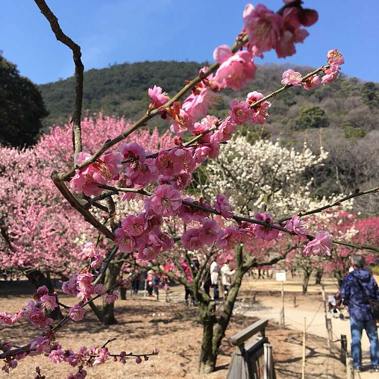 吹上亭 栗林公園内 フキアゲテイ 栗林町 栗林公園駅 カフェ By Line Place