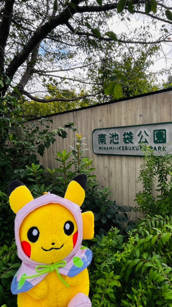 皮卡娃娃🇯🇵東京12/2-12/4快閃三日遊