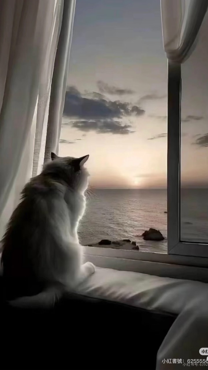 ✦₊˚ 熙 光 流 夢 ˚₊✦