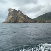 🌊海勇🔱柑仔店🏆