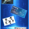 紹介OK!! 仮想通貨　エアドロップ共有部屋