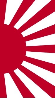Hoi4 マルチ初心者募集