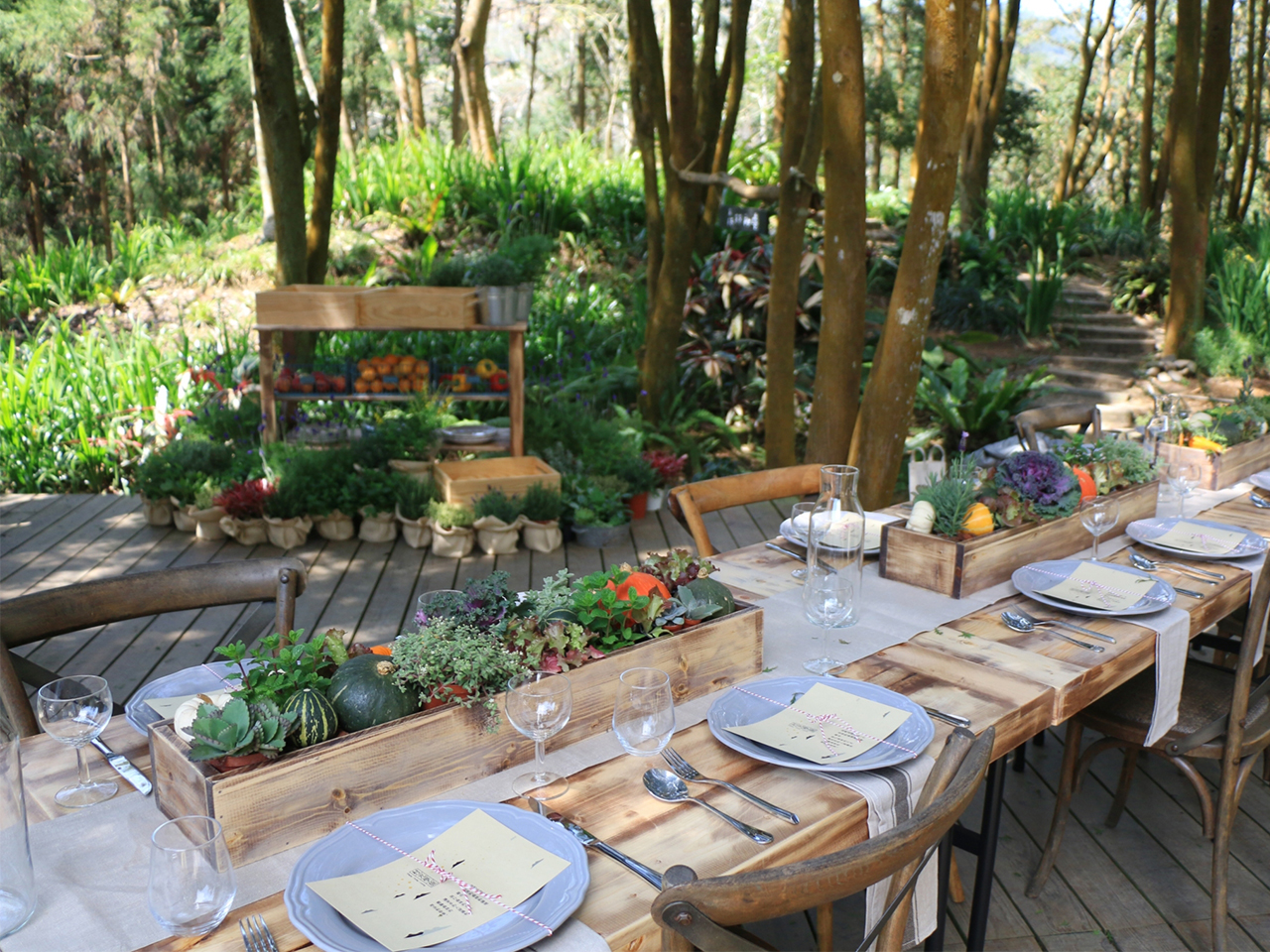 薰衣草森林新社店