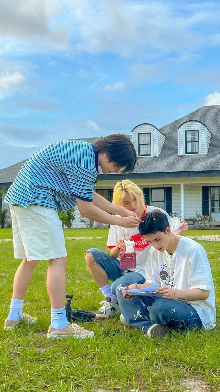 Straykids 離危cp真愛群