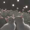 リア充なりませんか！【学生限定】