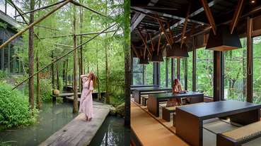 台中最秒殺記憶體的蔬食餐廳《澄石享自在》！懷石料理、木棧道落羽松秘境美景