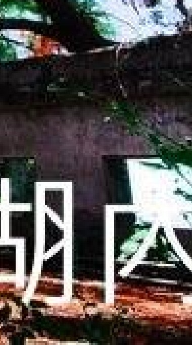 我是湖內人