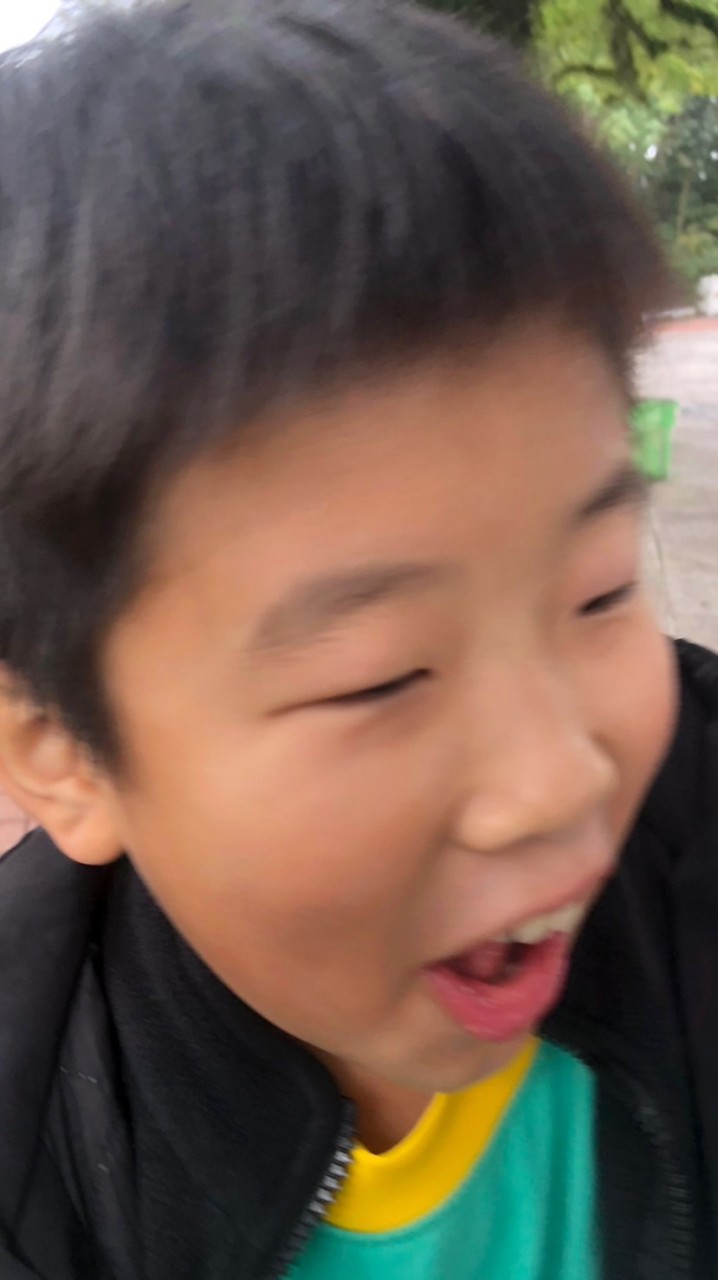 蔡頭