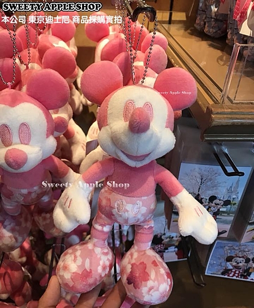 日本 東京迪士尼 期間限定商品