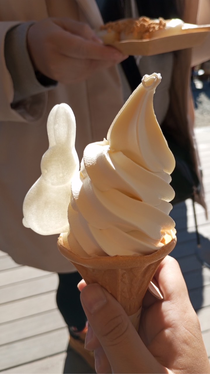 吳優戰隊