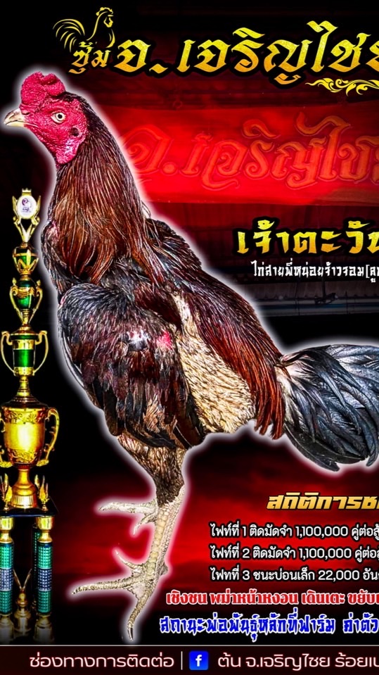 สายพันธุ์ จ.เจริญไชย