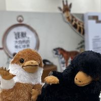 家庭小精靈事務所