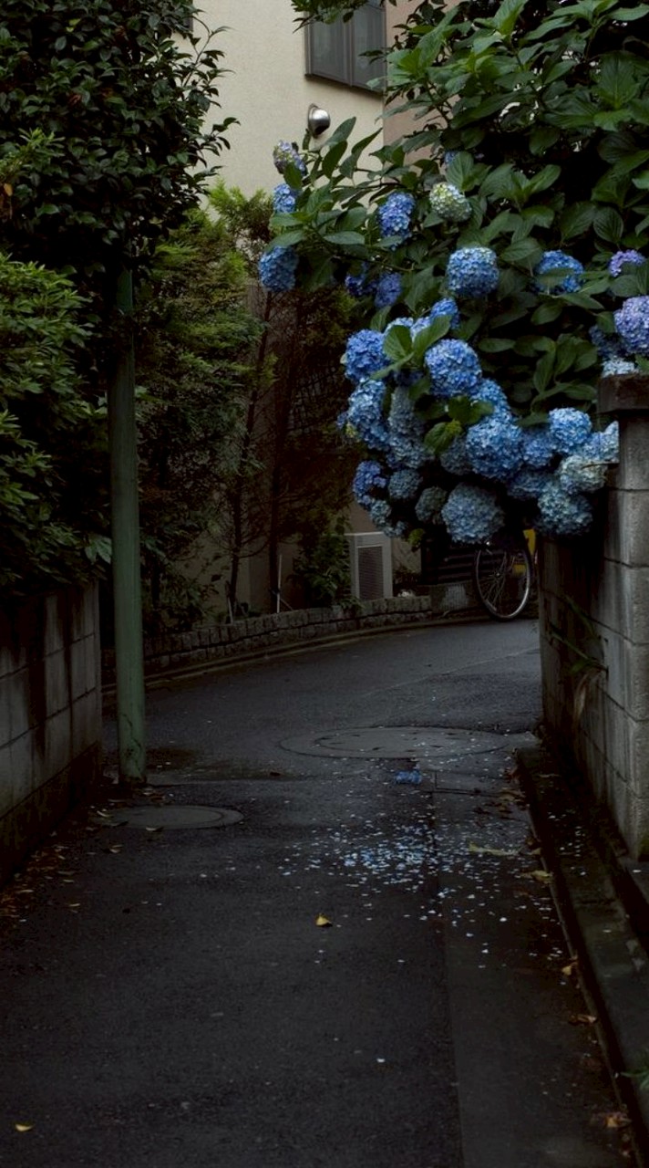 ボイメで歌お