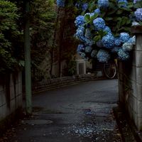 雑談しよううたおう