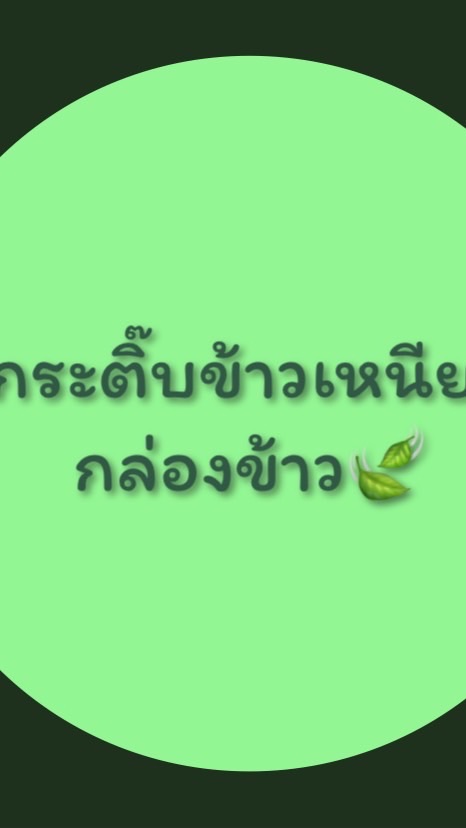 กระติ๊บข้าวเหนียว / กล่องใส่ข้าวเหนียว