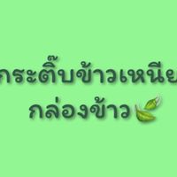 กระติ๊บข้าวเหนียว / กล่องใส่ข้าวเหนียว