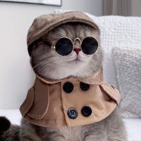 貓奴俱樂部🐱