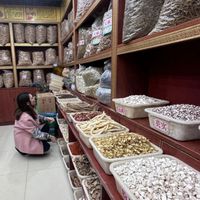中醫健康養身調理交流群