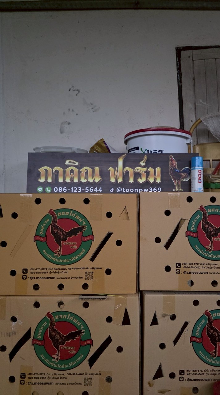 ภาคิณฟาร์ม กลุ่มไก่ชน