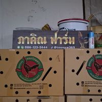 ภาคิณฟาร์ม กลุ่มไก่ชน