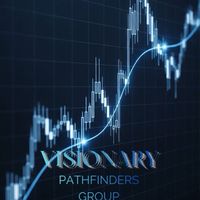 Visionary Pathfinders Group📊