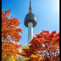韓國漂亮團