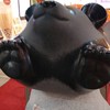 ブラックラグーン好きがブラックラグーンについて語る部屋