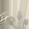 新高３女子の垢抜けルーム🌼